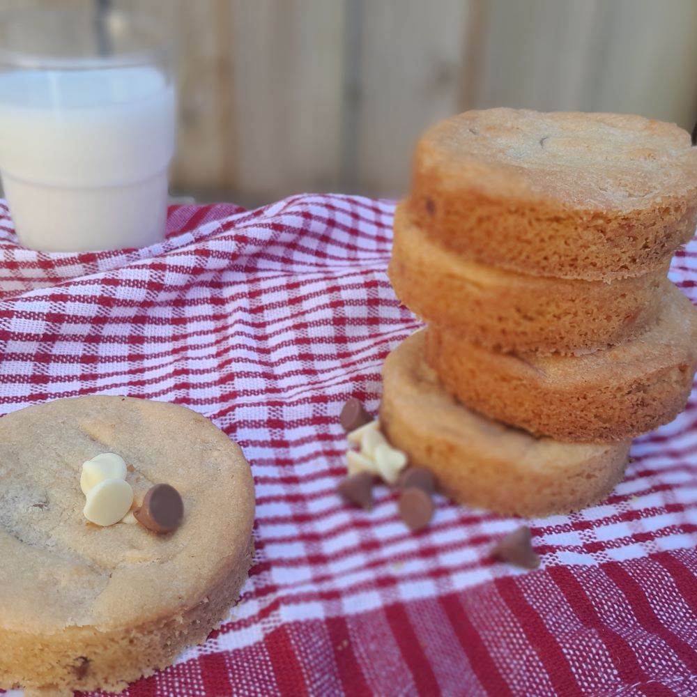 Double choc chip biscuits